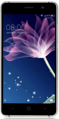 Doogee X10