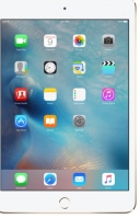 iPad mini 4