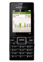 SonyEricsson J10i Elm