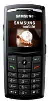 Samsung X820