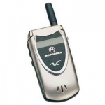 Motorola V60